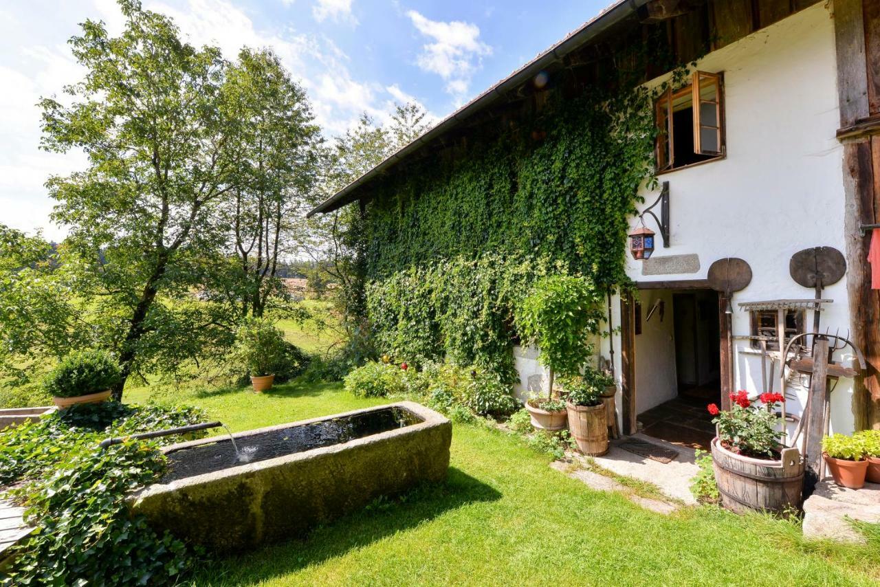 Aparthotel Hofatelier Menacher Neureichenau